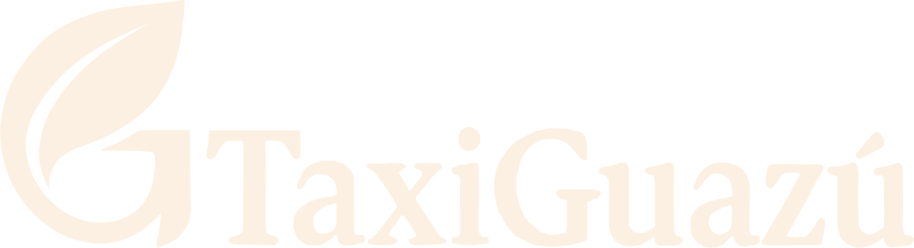 TaxiGuazú